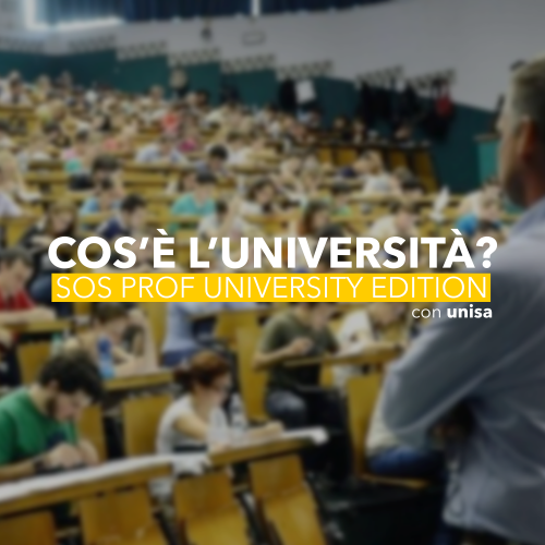 Cosa è l’Università?